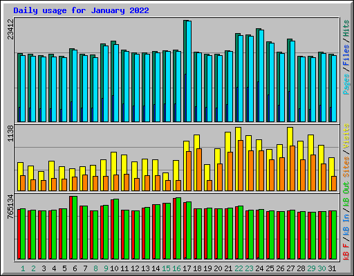 Daily usage for January 2022