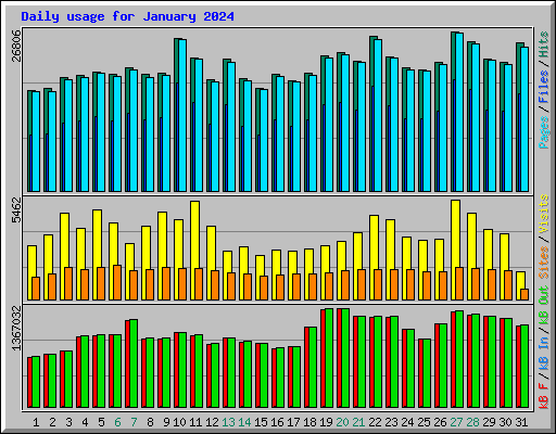 Daily usage for January 2024