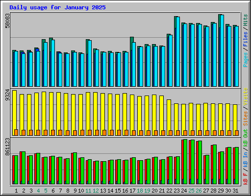 Daily usage for January 2025