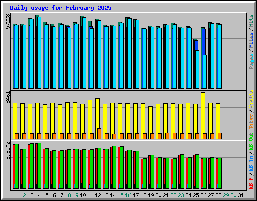 Daily usage for February 2025
