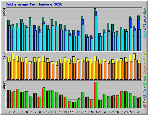 Daily usage for January 2026