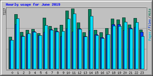 Hourly usage for June 2019