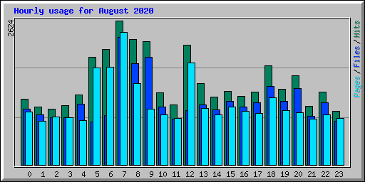 Hourly usage for August 2020