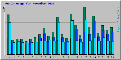 Hourly usage for November 2020