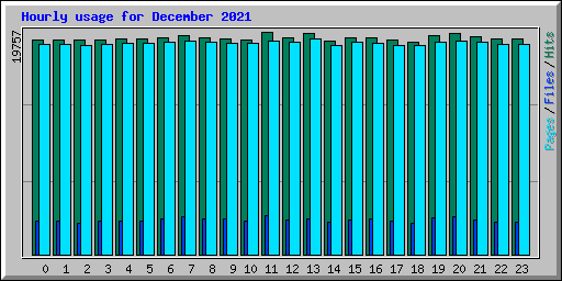 Hourly usage for December 2021