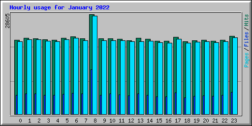 Hourly usage for January 2022