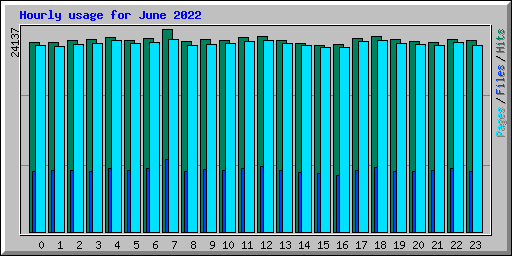Hourly usage for June 2022