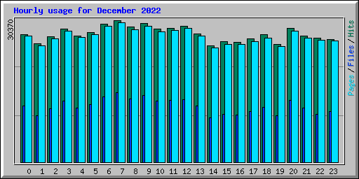Hourly usage for December 2022