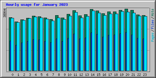 Hourly usage for January 2023