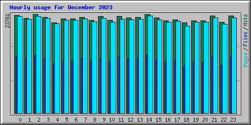 Hourly usage for December 2023