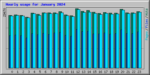 Hourly usage for January 2024