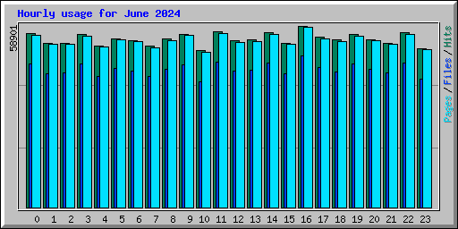 Hourly usage for June 2024