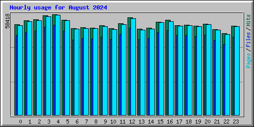 Hourly usage for August 2024