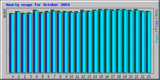 Hourly usage for October 2024