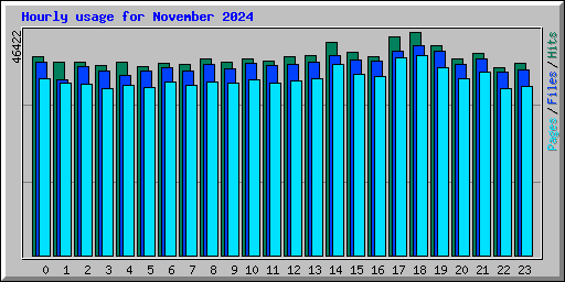 Hourly usage for November 2024