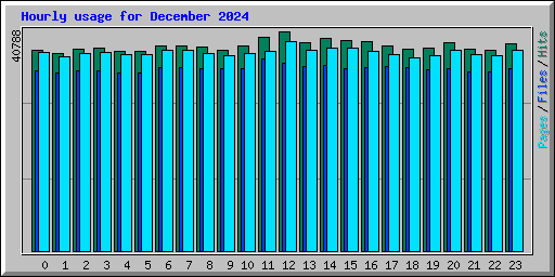Hourly usage for December 2024