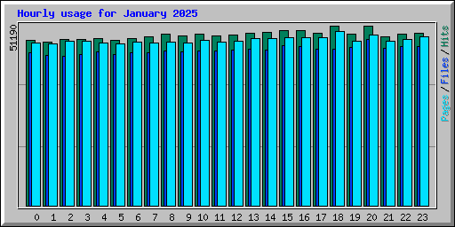 Hourly usage for January 2025