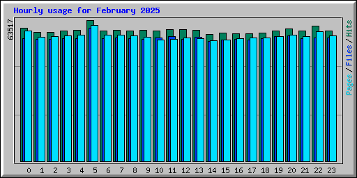 Hourly usage for February 2025