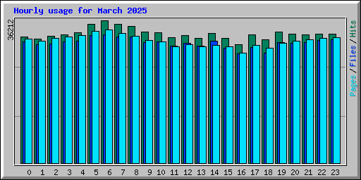 Hourly usage for March 2025