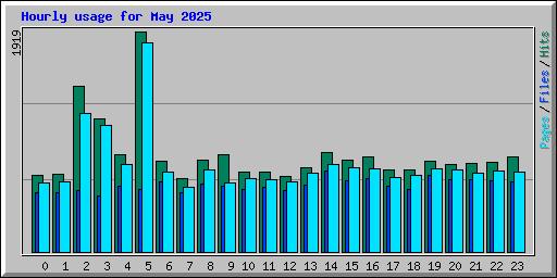 Hourly usage for May 2025