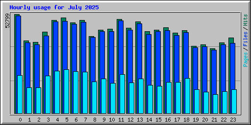 Hourly usage for July 2025