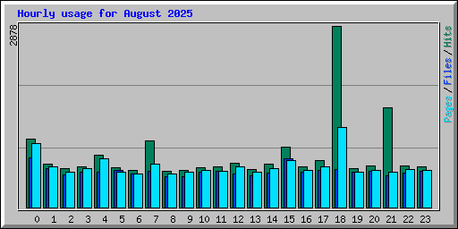 Hourly usage for August 2025