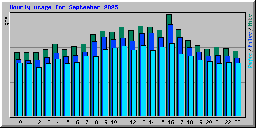 Hourly usage for September 2025