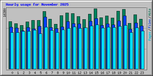 Hourly usage for November 2025