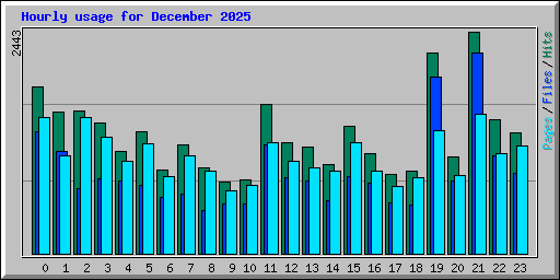 Hourly usage for December 2025