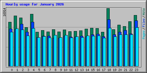 Hourly usage for January 2026