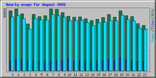 Hourly usage for August 2026